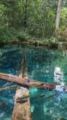 It turns out that there is really such a clear water