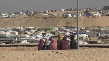 كاميرا العربية ترصد مأساة النازحين في حدائق رفح جنوبي غزة