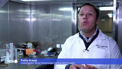 Misión de Colombia analiza huellas del cambio climático en la Antártida