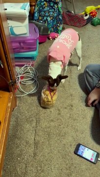 Princess snEAks a snACk