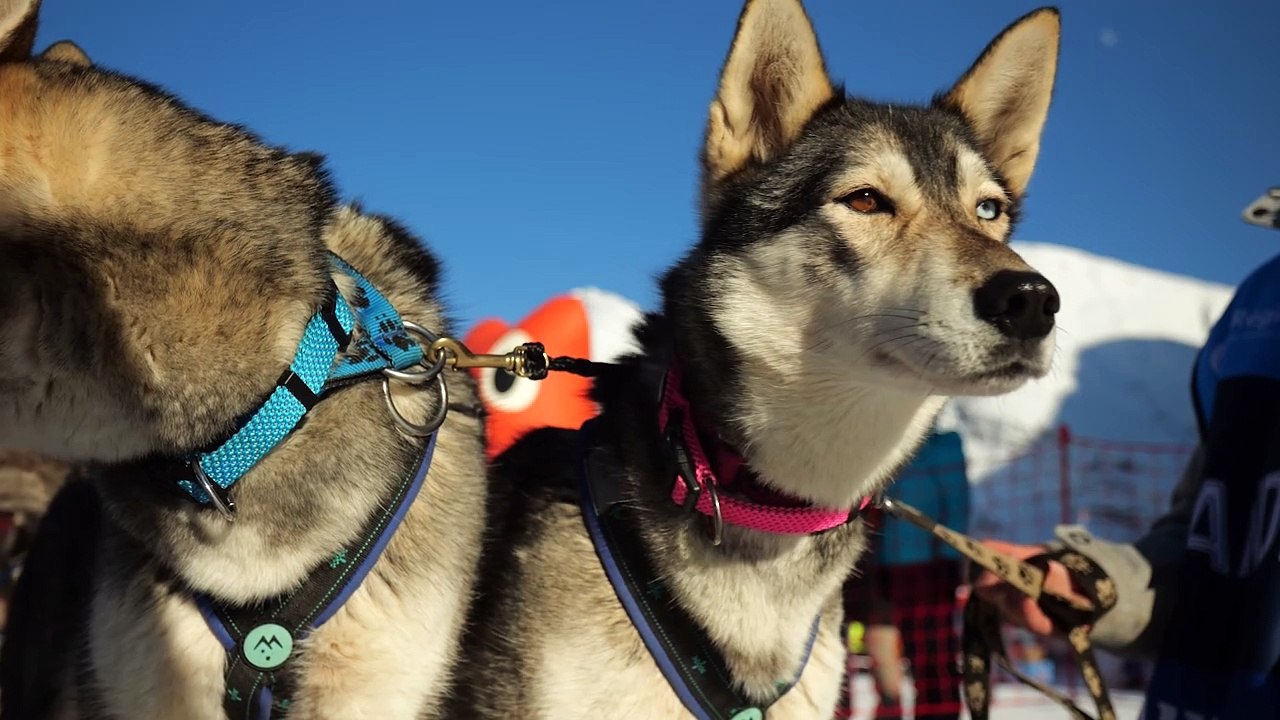 Etape 7 - Bessans – Bonneval sur Arc - Val Cenis Base Polaire présentée par Francodex