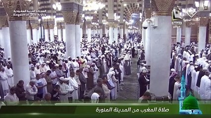 صلاة المغرب للشيخ عبدالمحسن القاسم 8 رجب 1445هـ