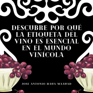 Jose Antonio Haua Maauad- La revolución tecnológica en el mundo del vino