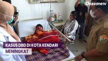 Kasus DBD Meningkat, Dua Pasien Balita di Kendari Meninggal Dunia