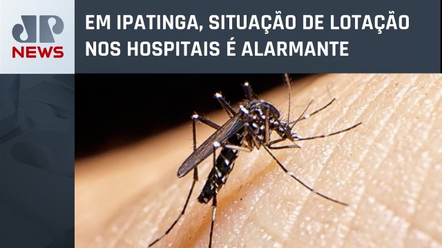 Casos de dengue e outras doenças crescem em Minas Gerais