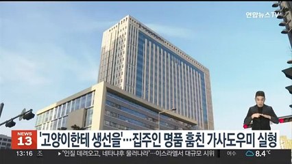 고양이에 생선 맡긴 격…집주인 명품 훔친 가사도우미 실형
