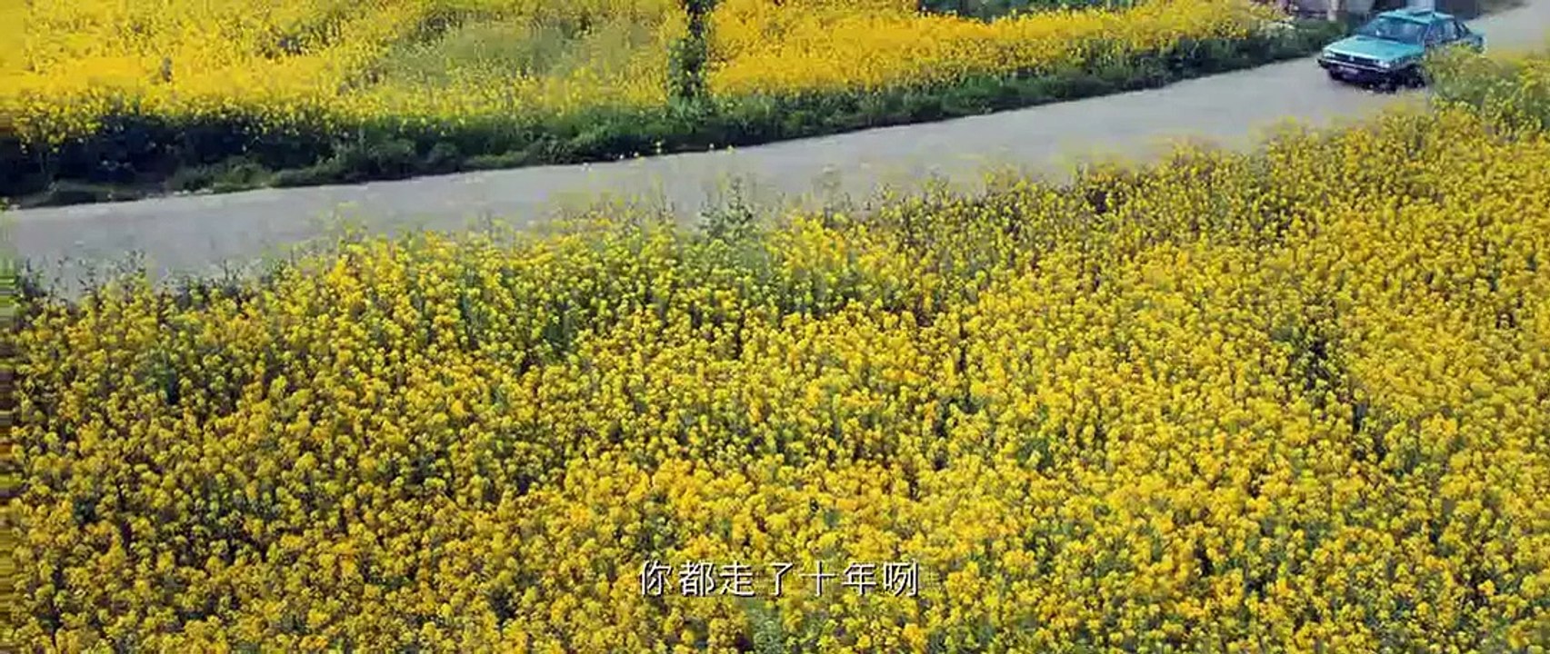 紫宅 (2011)完整版720P