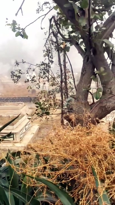 آج کل قبرستان میں کیا ہو رہا ہے   What is happening in the cemetery today?