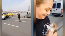 Bir kadın akan trafiği durdurarak yavru kediyi kurtardı