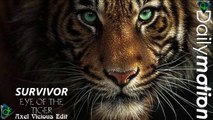 Survivor - Eye Of The Tiger (Axel Vicious Edit)