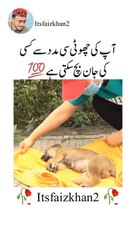 Dying puppy how suddenly live again