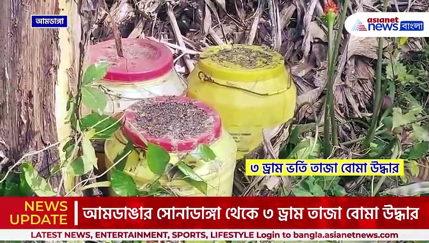ড্রামের মুখ খুলতেই চক্ষু চড়কগাছ! আমডাঙার বাঁশবাগান থেকে উদ্ধার ৩ ড্রাম তাজা বোমা