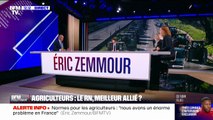 Éric Zemmour: 