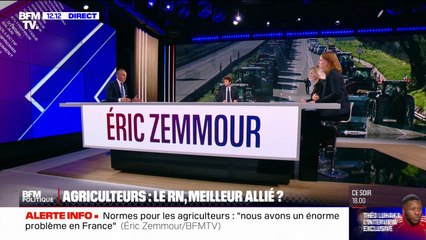 Éric Zemmour: "J'ai des désaccords fondamentaux avec le Rassemblement National"