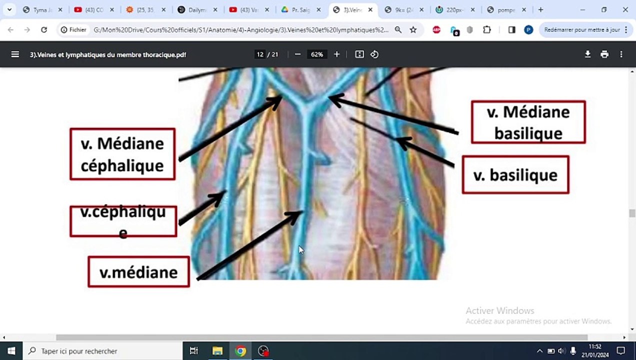 VEINES ET LYMPHATIQUES DU MEMBRES SUPERIEURS
