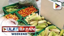 DILG, target magkaroon ng community garden sa lahat ng barangay sa Pilipinas
