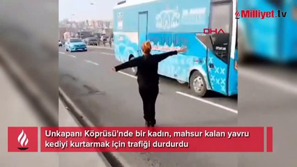 Unkapanı Köprüsü'nde yavru kedi operasyonu! Trafiği durdurdu
