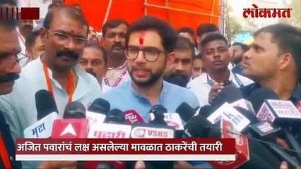 मावळमध्ये आदित्य ठाकरे, शिंदे, फडणवीस अन् सामंतांवर काय बोलले?