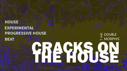 The Double Morphis - Cracks on The House
