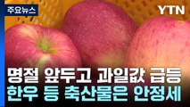 설 앞두고 금값된 사과·배 ...축산물은 안정세 / YTN