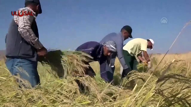 Çiftçiye yapılan destek enflasyona yenik düştü!