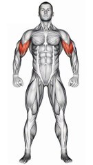 Arm Workout #armsworkout #gymfitness #Bicep&TricepChallenge #strengthtraining #workoutgoals #shorts