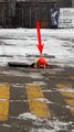 Ce chien intervient en voyant un égoutier coincé sous une voiture