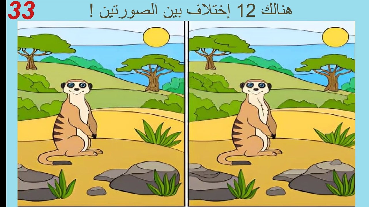 اوجد الاختلاف بين الصورتين 5