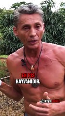 Sakın domuz eti yemeyin.Çok zararlı!