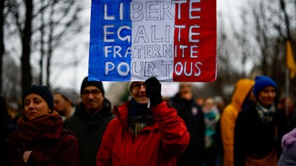 Manifestation contre la loi immigration : « On est quand même la patrie des droits de l’homme ! »