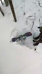 Snowboarder Wipes Out on Tree Well