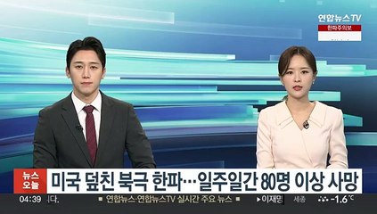 下载视频: 미국 덮친 북극 한파…일주일간 80명 이상 사망