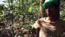 Amazonia Under Siege: Raids in the Rainforest  | The Fight for Survival  | Full Documentary
