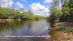 Kolan River Grazing, Bucca, Qld | January 22, 2024 | Farmonline