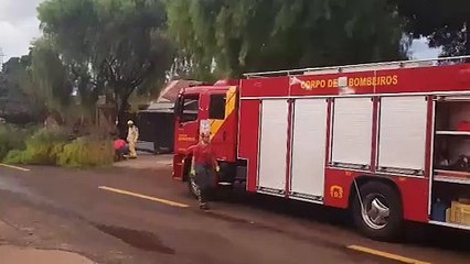 Descargar video: Bombeiros realizam poda de árvore no Santa Felicidade