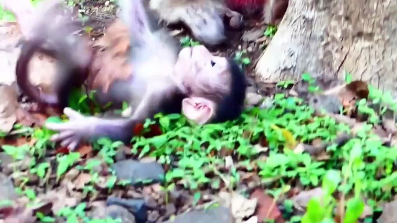 Poor little slippering with pithiness, baby roll over the rough ground (720p_25fps_H264-192kbit_AAC)
