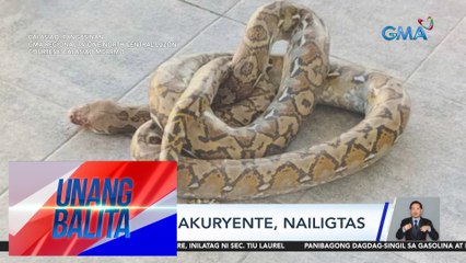 Sawang nakuryente, nailigtas | UB