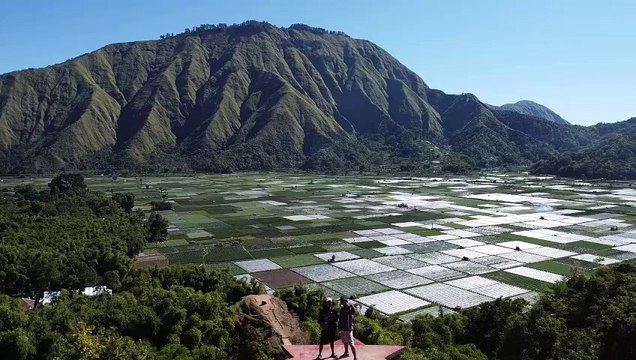 Bukit Selong - Discovering Tranquility Amidst Greenery, Majestic Mountains, and Unique Sasak Traditions