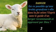 2 DANGER _ Est ce possible qu'une brebis grandisse t-elle dans la foi selon l'Esprit sans le guide