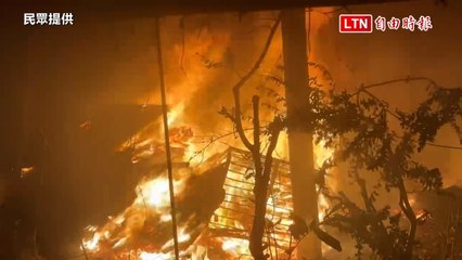 苗市一農場陷火海 30隻雞被大火吞噬（民眾提供）