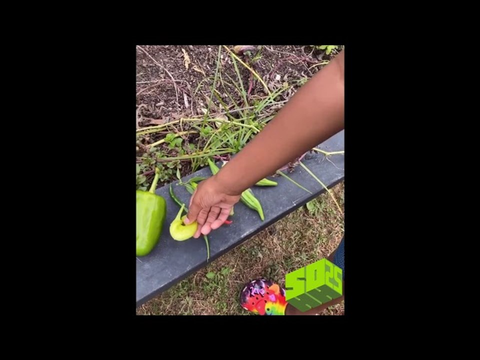 2 Chainz Shows Off His Gardening and Veggie Cooking Skills