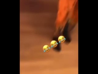 BlocBoy JB Fails Backflip Attempt