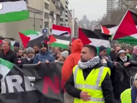 Manifestazione pro Palestina per le strade di Bruxelles