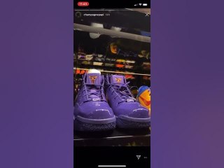 Drake Shows Off Collection Of Kobes