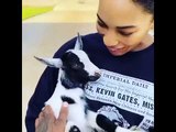 Watch: Kevin Gates buys his wife a baby goat