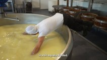 How the Netherlands makes 650 million kilos of Gouda a year