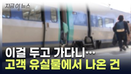 살아서 '꿈틀'...열차 안에 두고 간 유실물이 '에구머니나' [지금이뉴스] / YTN