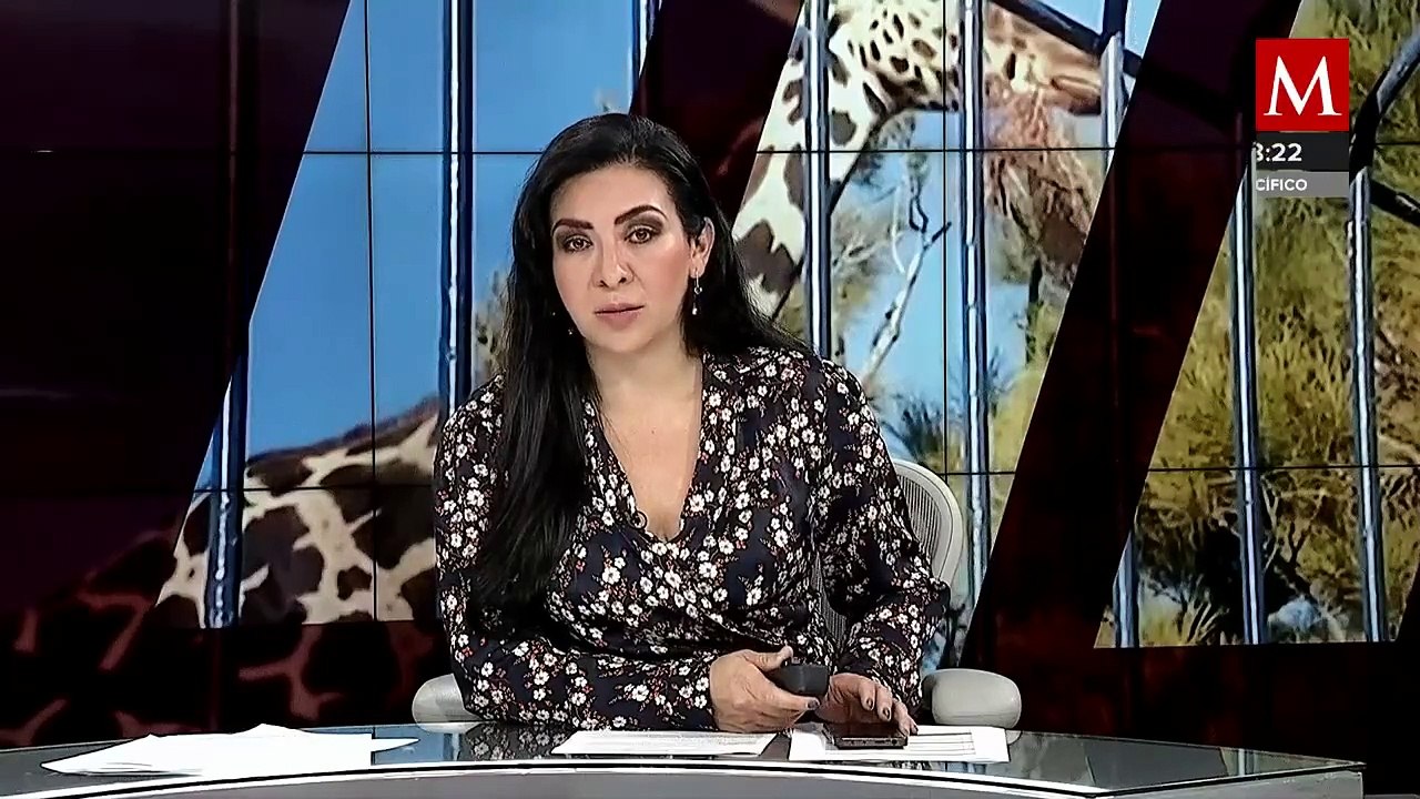 Finalmente inicia el proceso de traslado de la jirafa Benito