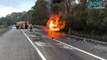 Three people in hospital after car bursts into flames from truck collision on Great Western Highway