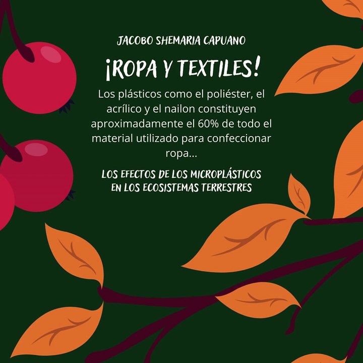 -Jacobo Shemaria Capuano- ¡Los países y las empresas pueden unirse a la campaña Mares Limpios! (Parte 2) (Creado por @JacoboShemariaCapuano)